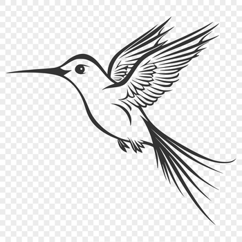 A realistic illustration of a hummingbird in mid-flight, showcasing its full body structure.