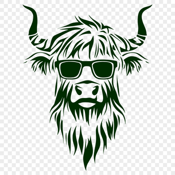 Close-up portrait of a Highland cow's head with rugged features, suitable for vector design.