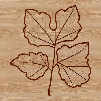 A detailed illustration of a single green leaf with rounded edges and veins, suitable for vector design projects.