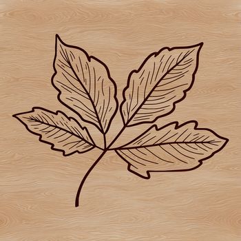 A stylized illustration of a single green leaf with veins, suitable for vector design projects.