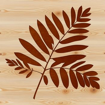 A digital vector illustration of a single leaf with intricate details.