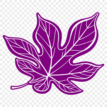 A high-quality vector illustration of a single green leaf with detailed veins and edges.