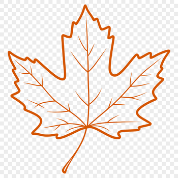 A vector illustration of a single green leaf with veins.