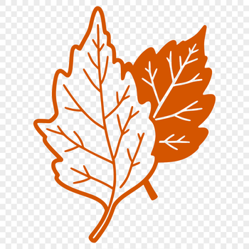 A stylized illustration of a single leaf with detailed veins.