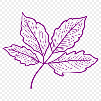 A high-quality illustration of a single green leaf with veins, suitable for vector design projects.