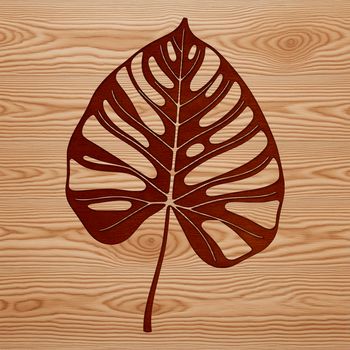 A single green leaf with intricate veins on a transparent background.