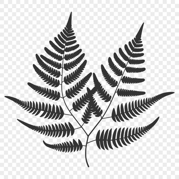 A single, stylized leaf with veins, suitable for vector design and cutting machine projects.