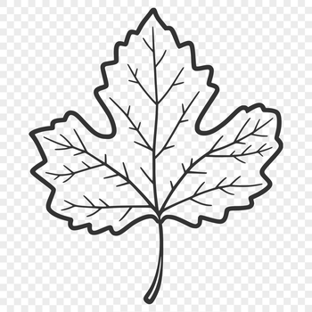 A detailed vector illustration of a single leaf with natural texture and veins.