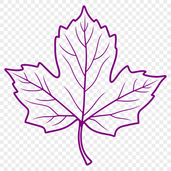 A green leaf shape with veins, suitable for graphic design and digital cutouts.