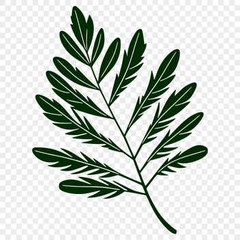 An SVG image of a stylized plant leaf suitable for digital designs.