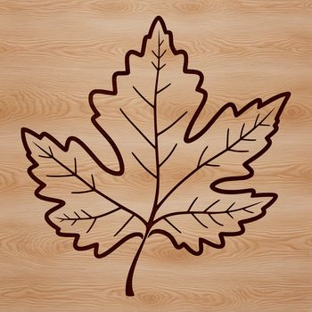 A single maple leaf with veins and edges illustrated in vector format.