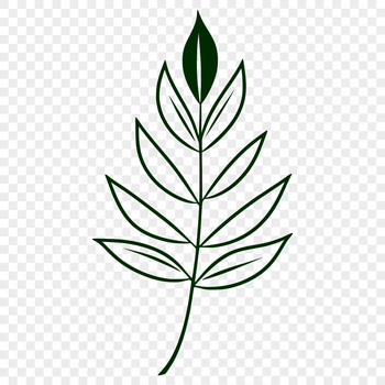 A single, detailed leaf illustration created as a vector graphic, suitable for various design applications.
