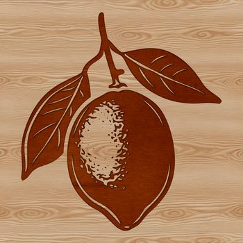 A green-yellow citrus fruit with a characteristic shape, suitable for vector graphics and designs.