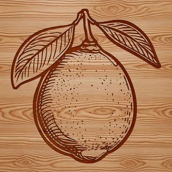 A colorful illustration of a lemon fruit, suitable for vector art and graphic design projects.