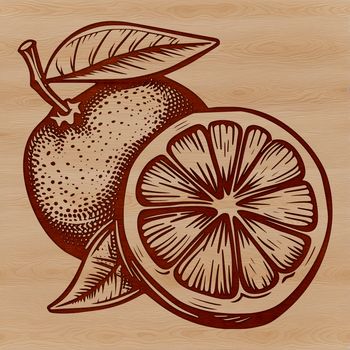 A high-resolution digital image of a lemon fruit in vector format.