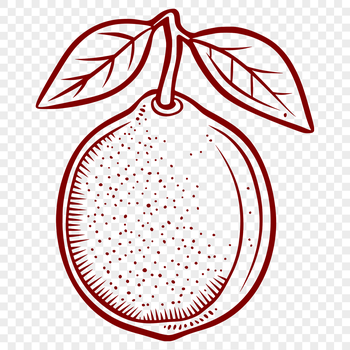 Vector illustration of a lemon fruit, suitable for graphic design and digital crafting projects.