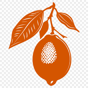 A high-quality illustration of a lemon, suitable for graphic design projects.