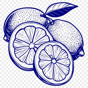A high-quality illustration of a lemon in vector format, suitable for digital design.