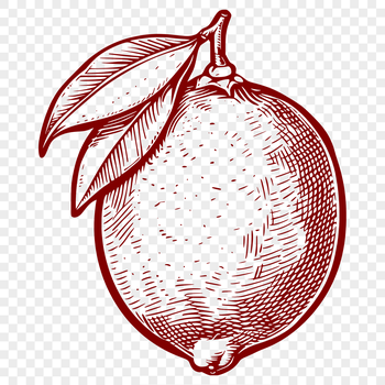 A stylized illustration of a lemon with smooth curves, suitable for vector design and cutting machine projects.