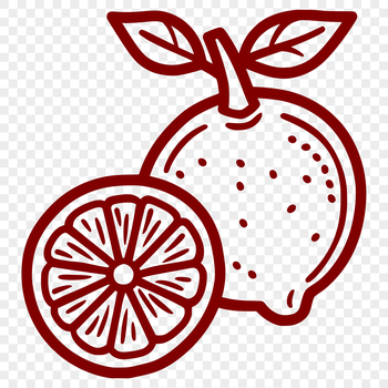 A simple line drawing of a lemon, suitable for use in vector art designs.