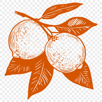 A 2D illustration of a lemon, suitable for digital use and customization.