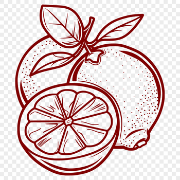 A stylized illustration of a lemon, suitable for graphic design projects.