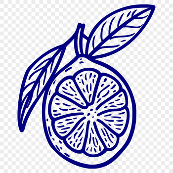 A simple line drawing of a lemon, a common citrus fruit often used in cooking and recipes.