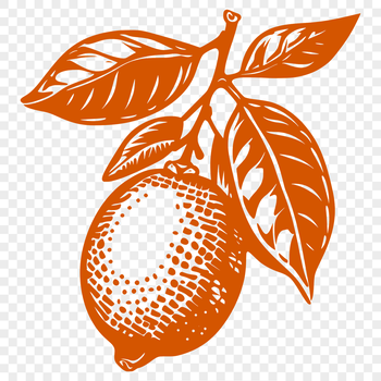 A high-quality vector illustration of a lemon, suitable for various design projects and commercial applications.