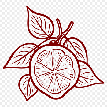 A yellow citrus fruit with a smooth skin and a small stem, suitable for vector art projects.