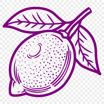 Illustrated illustration of a single yellow citrus fruit with green leaves and stem.
