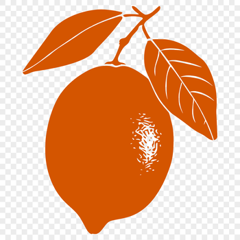 A 2D illustration of a lemon in vector format.
