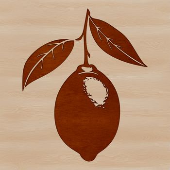A sliced lemon with seeds, a yellow citrus fruit, suitable for SVG vector design and print.