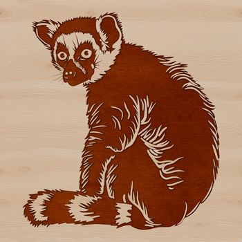 A high-quality SVG illustration of a wild animal, specifically a lemur.