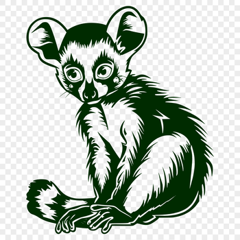 A detailed illustration of a lemur from the front, showcasing its unique features and posture.