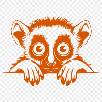 Free Unique Lemur Illustration