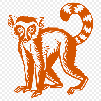 A full-body illustration of a lemur, created in vector format.