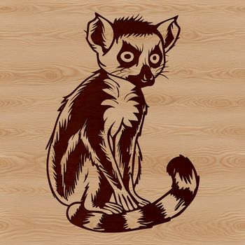 A small primate with large eyes and a long tail, native to the island of Madagascar.