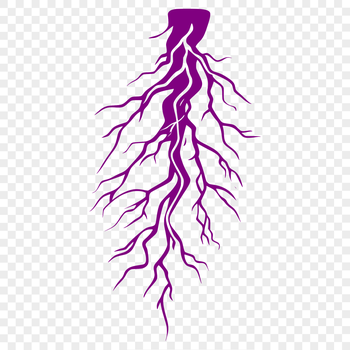 A stylized illustration of a lightning bolt, suitable for graphic design and digital art projects.