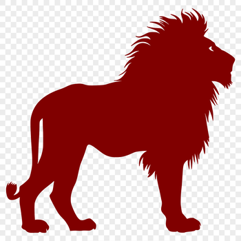A standing lion with a full body view, depicted in vector art style.