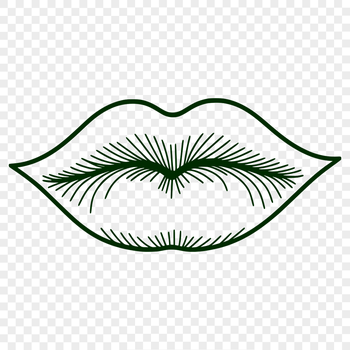 A detailed illustration of the human lip anatomy, created as a vector graphic.