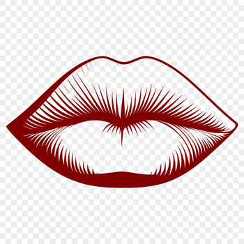 An illustration of the human mouth anatomy, highlighting the shape and structure of lips.