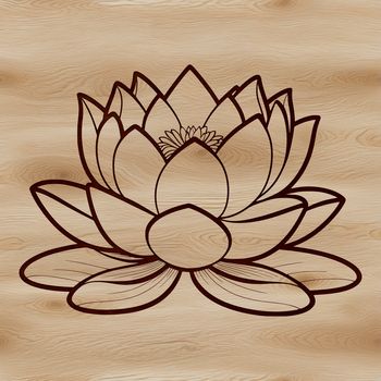 A stylized illustration of the lotus flower, a symbol in various cultures and religions.