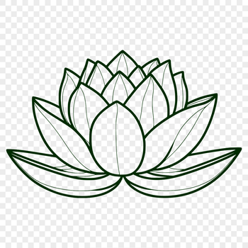 A detailed illustration of the Lotus flower in various stages of growth.
