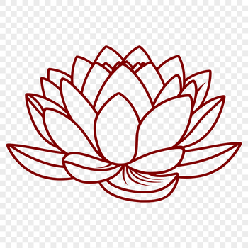 A detailed, hand-drawn design of the lotus plant used as a graphic element.