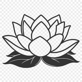 An illustration of a lotus flower with intricate details and symmetrical petals.