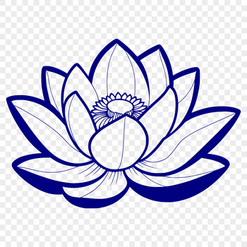 A detailed illustration of a lotus flower in vector format.