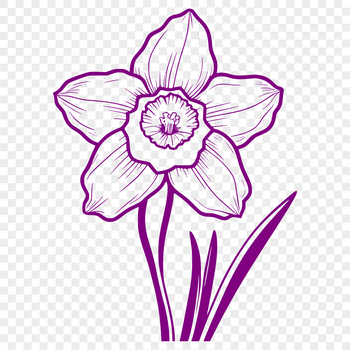 A single white daffodil flower with yellow trumpet-shaped center on a green stem.
