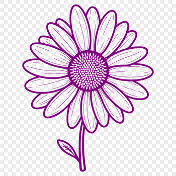 A high-resolution digital illustration of a daisy flower, suitable for vector art and design.