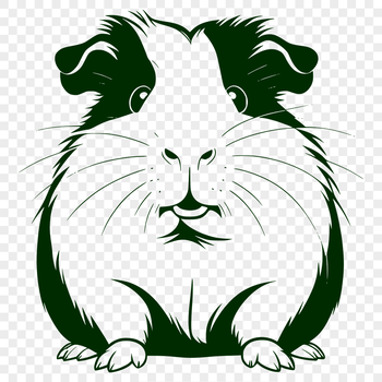 A detailed illustration of a guinea pig suitable for vector art designs.