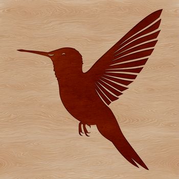 An illustration of a hummingbird perched on a branch, depicted in detailed vector lines.